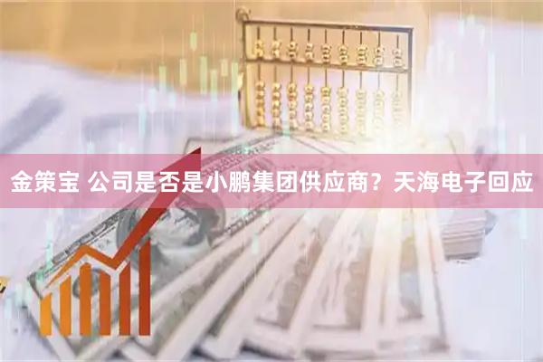 金策宝 公司是否是小鹏集团供应商？天海电子回应