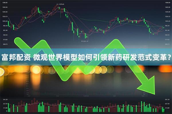 富邦配资 微观世界模型如何引领新药研发范式变革？