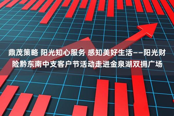 鼎茂策略 阳光知心服务 感知美好生活——阳光财险黔东南中支客户节活动走进金泉湖双拥广场