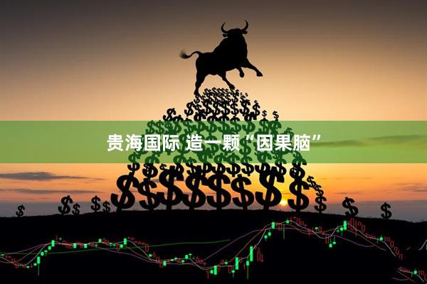 贵海国际 造一颗“因果脑”